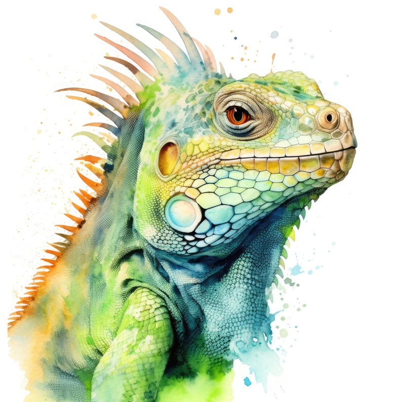 mascota